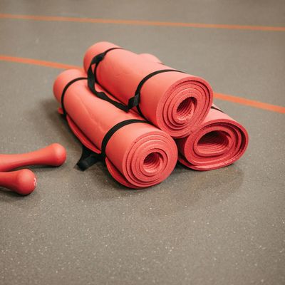 Dumbbells lying on a professional rubber training mat